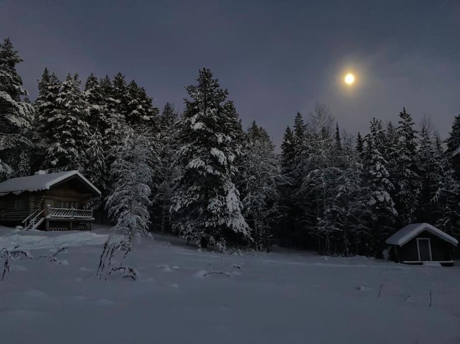 Lakeside Wilderness Cabin Jokkmokk Exterior photo